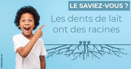 https://dr-le-petit-xavier.chirurgiens-dentistes.fr/Les dents de lait 2