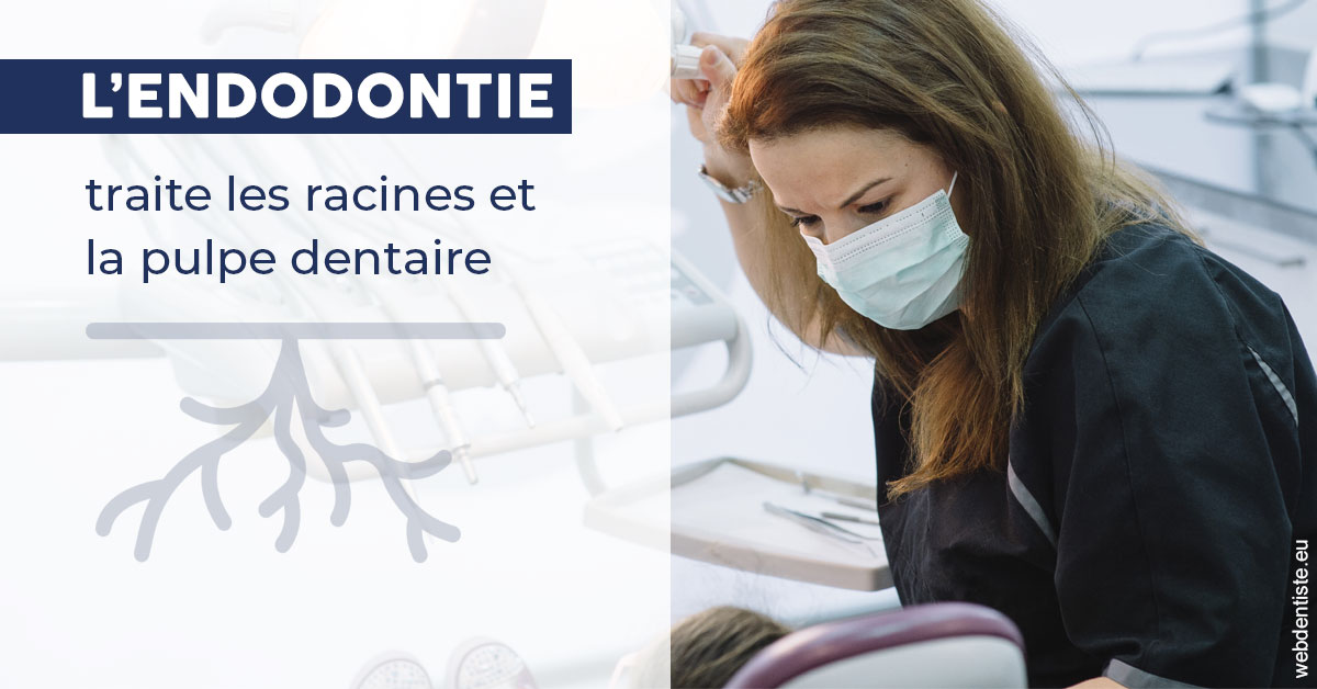https://dr-le-petit-xavier.chirurgiens-dentistes.fr/L'endodontie 1