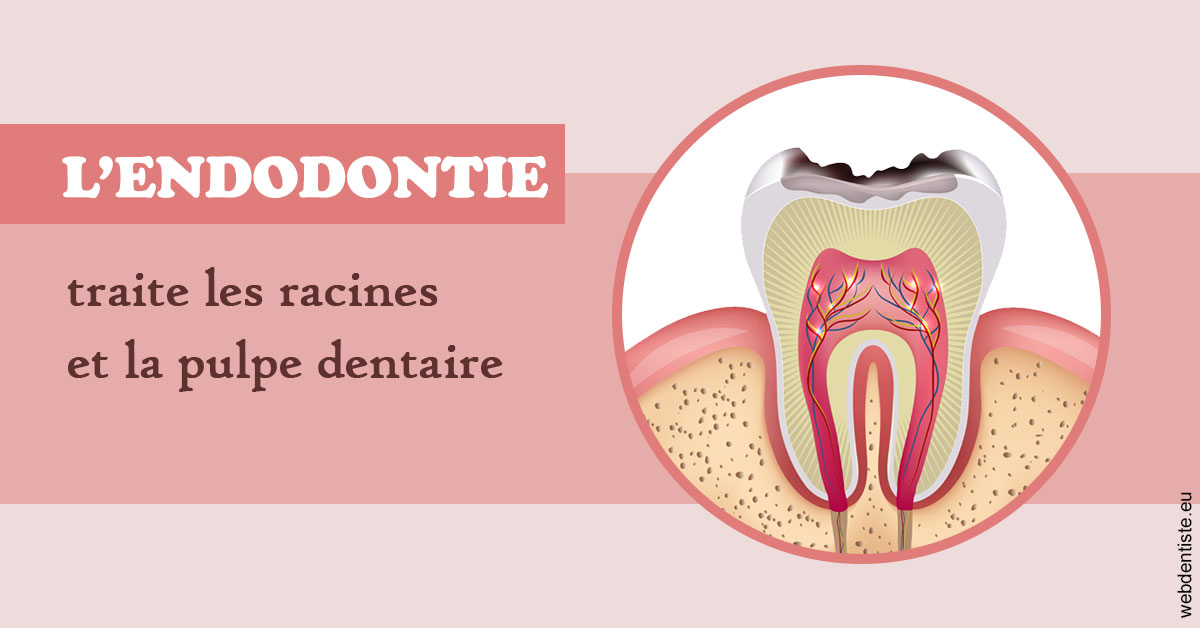 https://dr-le-petit-xavier.chirurgiens-dentistes.fr/L'endodontie 2