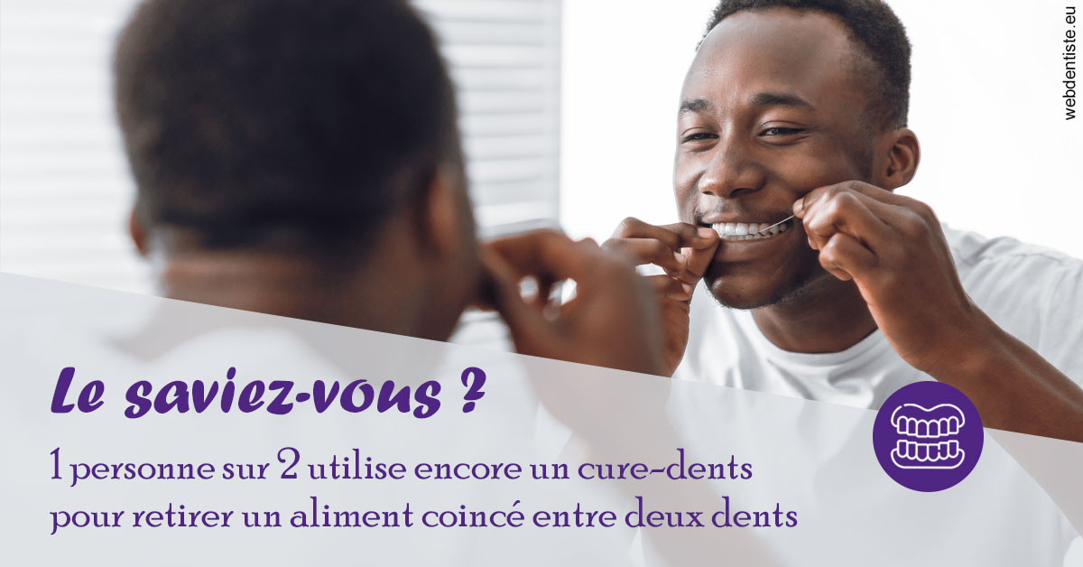 https://dr-le-petit-xavier.chirurgiens-dentistes.fr/Cure-dents 2