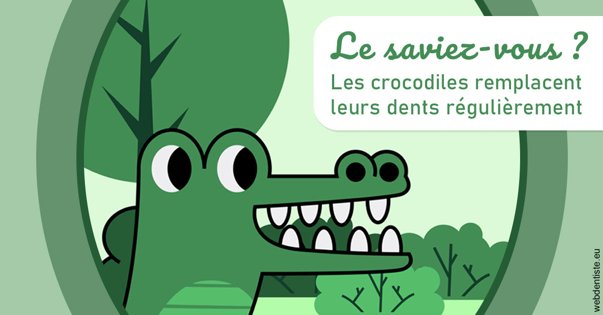 https://dr-le-petit-xavier.chirurgiens-dentistes.fr/Crocodiles 2