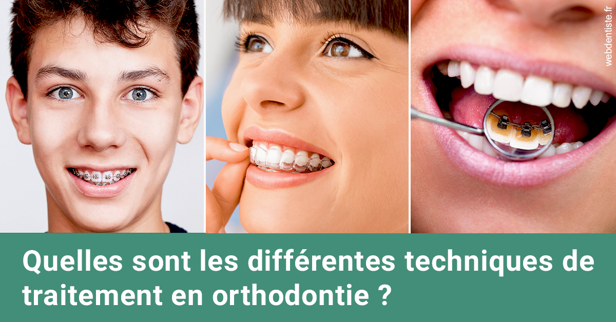 https://dr-le-petit-xavier.chirurgiens-dentistes.fr/Les différentes techniques de traitement 2