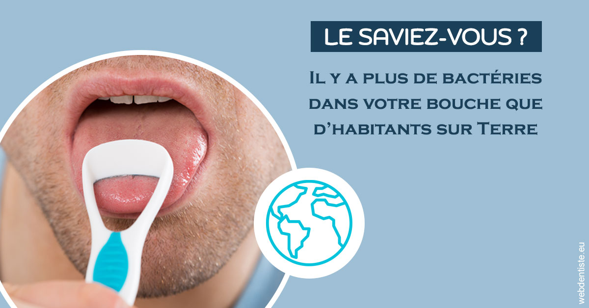 https://dr-le-petit-xavier.chirurgiens-dentistes.fr/Bactéries dans votre bouche 2
