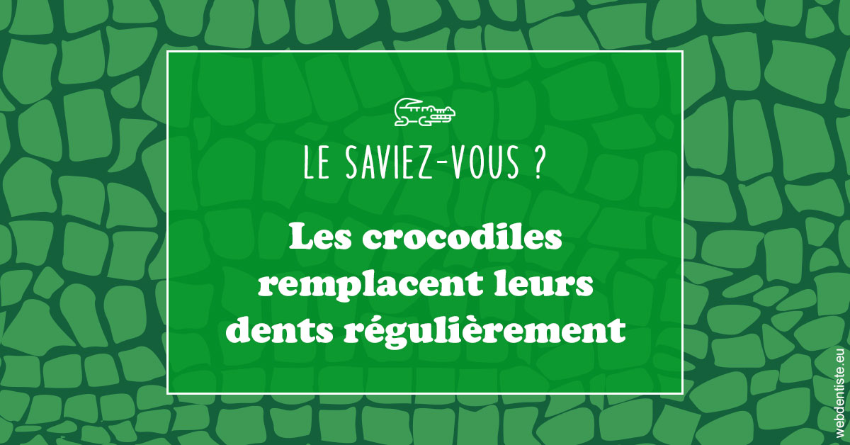 https://dr-le-petit-xavier.chirurgiens-dentistes.fr/Crocodiles 1