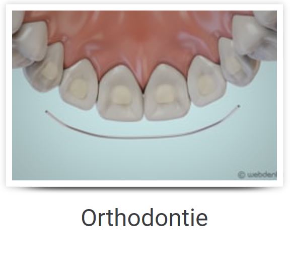 le petit orthodontie